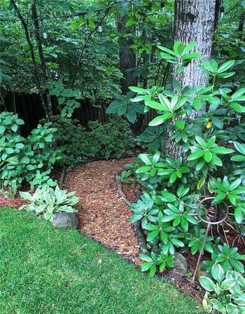 317 Sunset Grove Dr, Holly Springs, NC 27540