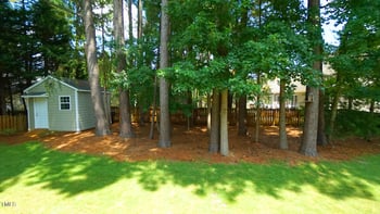 317 Tarragon Trl, Wendell, NC 27591