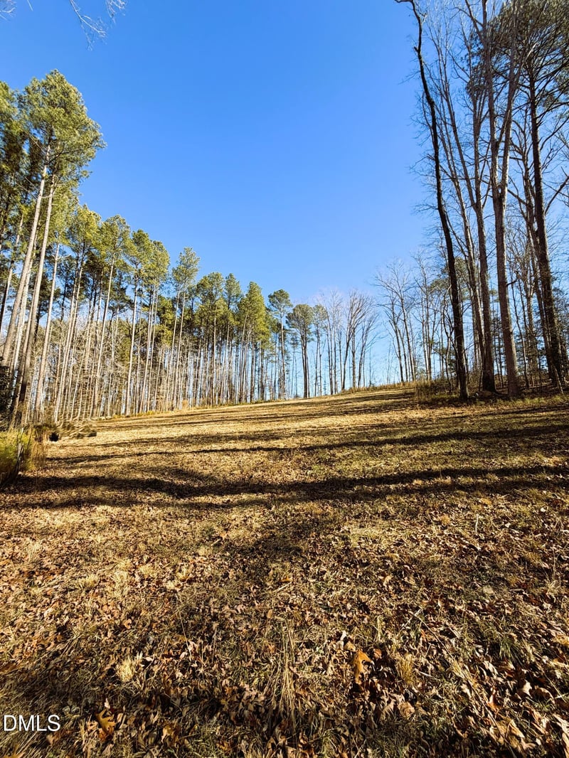 318 Jones Ferry Rd Lot 5, Pittsboro, NC 27312