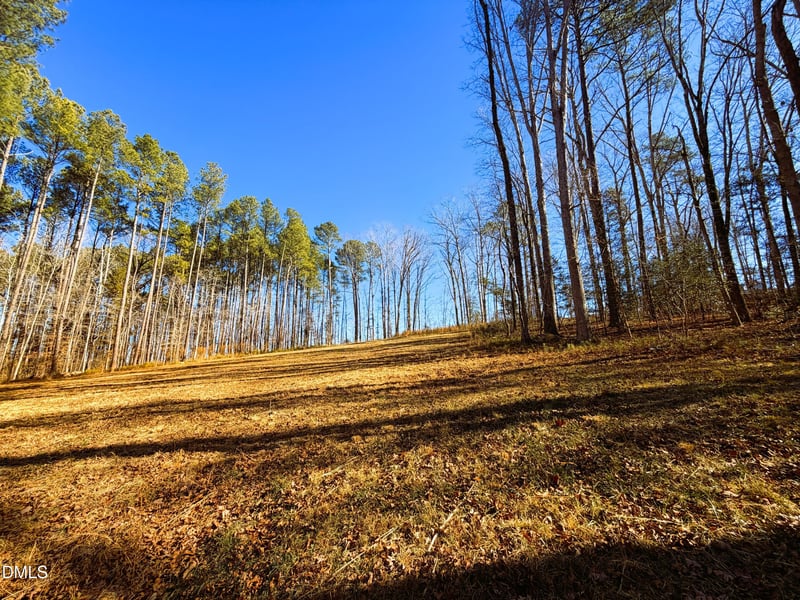318 Jones Ferry Rd Lot 5, Pittsboro, NC 27312