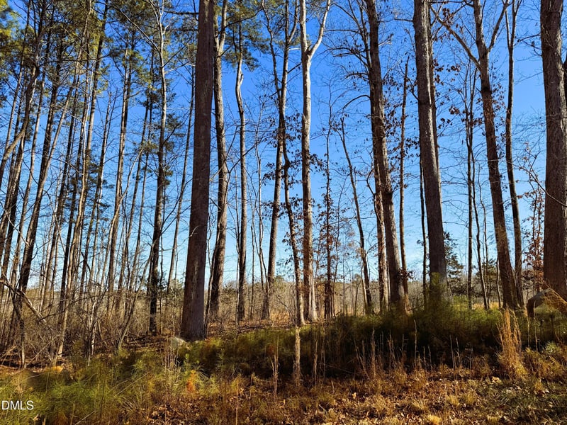 318 Jones Ferry Rd Lot 5, Pittsboro, NC 27312