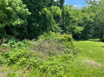 318 Walker St, Roxboro, NC 27573