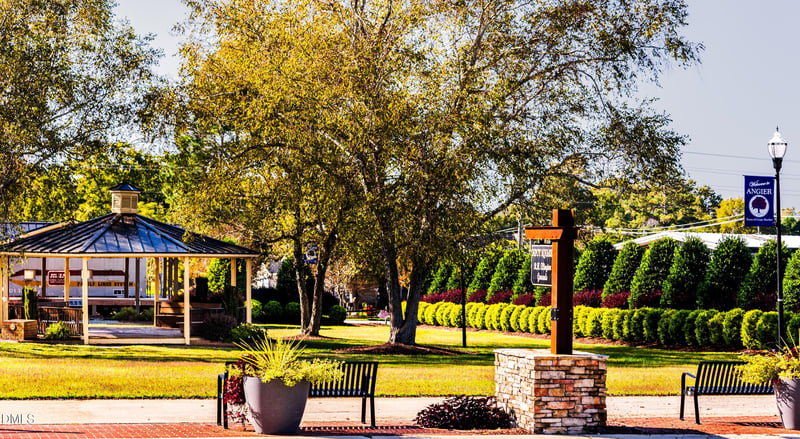 32 Serpens Dr #220, Angier, NC 27501