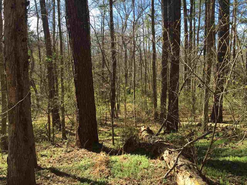 320 Nc 902 Hw Lot 2, Pittsboro, NC 27312