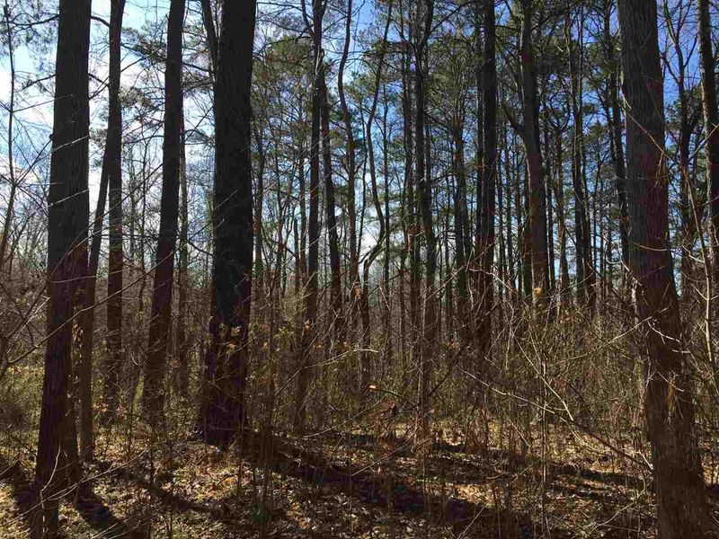 320 Nc 902 Hw Lot 2, Pittsboro, NC 27312