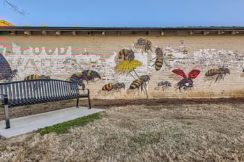 320 Seagrass Cir, Wendell, NC 27591