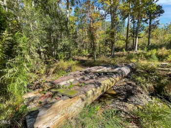 3201 Carl Durham Rd, Chapel Hill, NC 27516