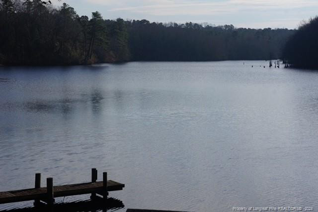 3203 Swanns Station Rd, Sanford, NC 27332