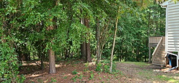 3204 Orchestra Ct, Apex, NC 27539