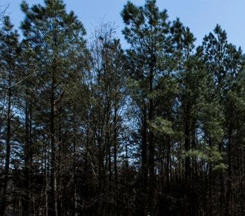 3207 Rugby Rd Lot B, Durham, NC 27707