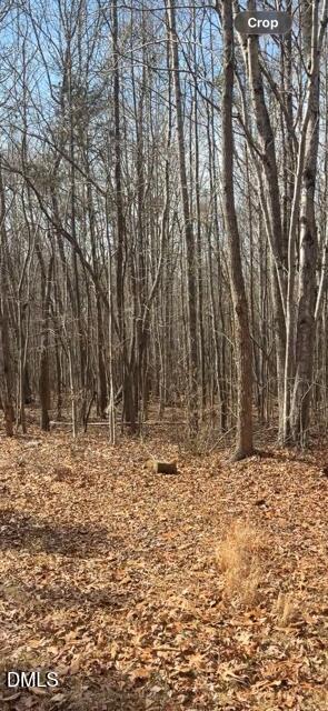 321 Greentree Ln, Siler, NC 27344