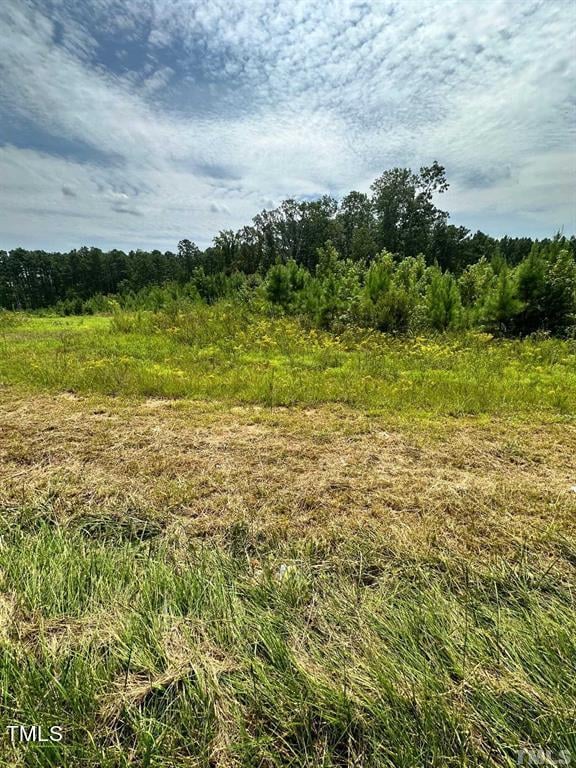 3210 Bruce Garner Rd, Creedmoor, NC 27522