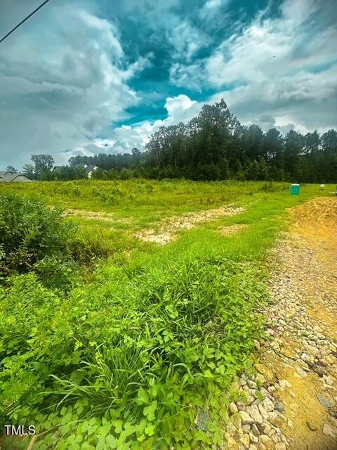 3210 Bruce Garner Rd, Creedmoor, NC 27522