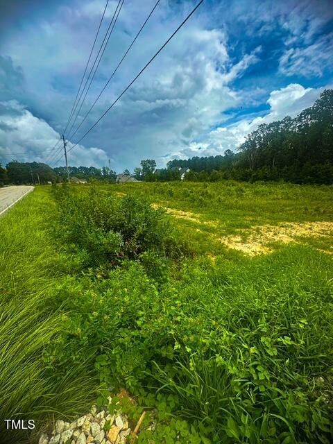 3210 Bruce Garner Rd, Creedmoor, NC 27522