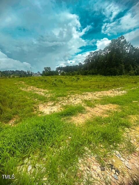 3210 Bruce Garner Rd, Creedmoor, NC 27522
