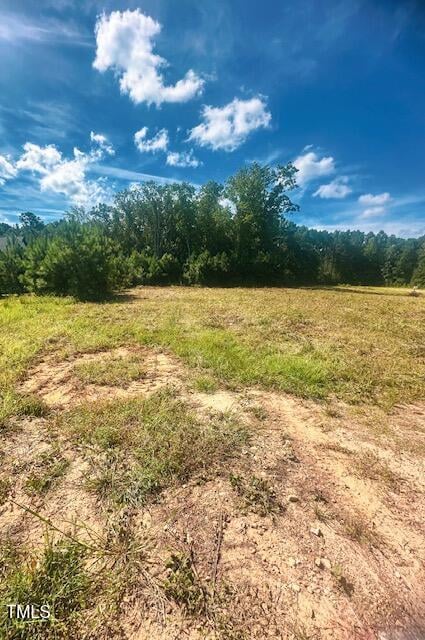 3210 Bruce Garner Rd, Creedmoor, NC 27522