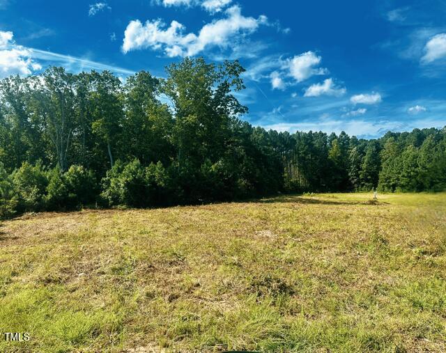 3210 Bruce Garner Rd, Creedmoor, NC 27522