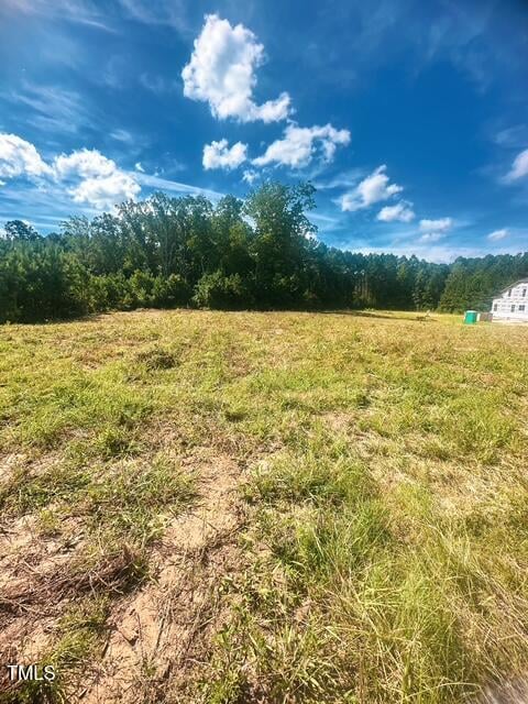 3210 Bruce Garner Rd, Creedmoor, NC 27522
