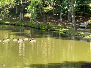 3213 Marie Dr, Raleigh, NC 27604