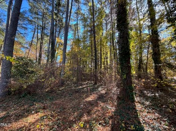 3216 Duke Homestead Lot A, Durham, NC 27704