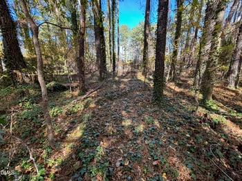 3216 Duke Homestead Lot B, Durham, NC 27704