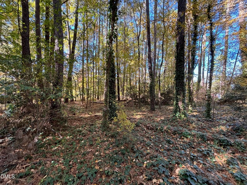 3216 Duke Homestead Lot B, Durham, NC 27704