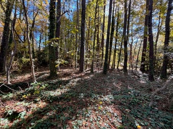 3216 Duke Homestead Rd Lot 28-31, Durham, NC 27705