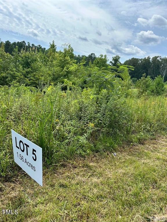 3218 Bruce Garner Rd, Creedmoor, NC 27522
