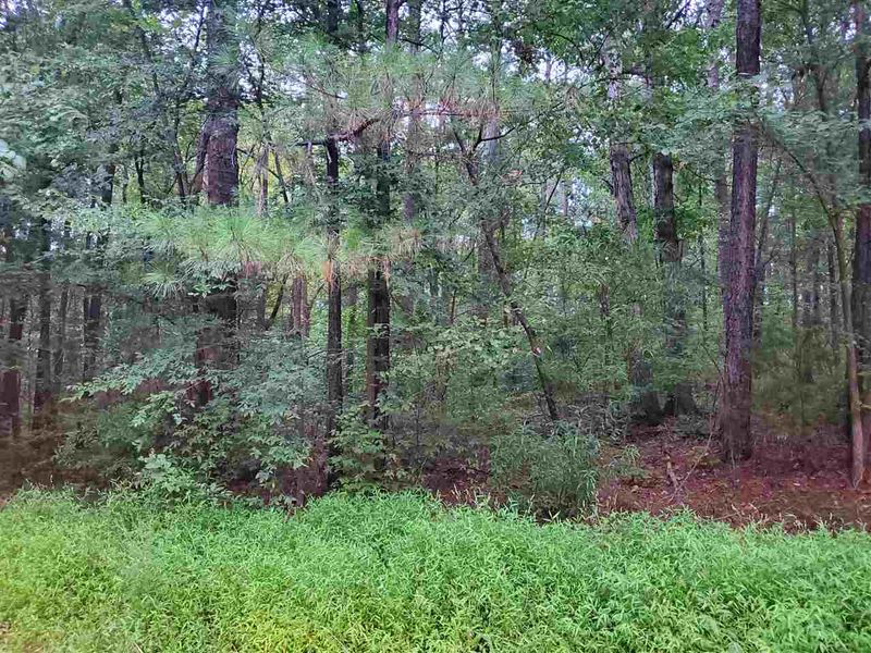 322 Scheer Ave Lot #41 42 43, Durham, NC 27703
