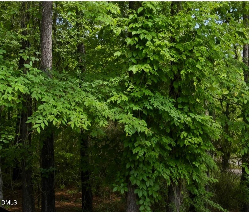 3225 Jesella Dr Lot 5, Raleigh, NC 27610