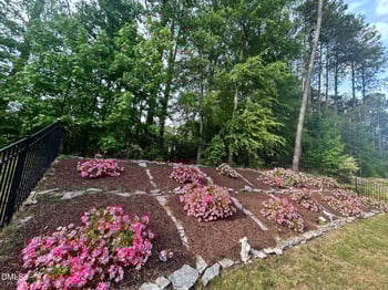 3229 Douglas Fir Rd, Raleigh, NC 27616