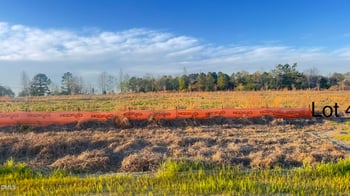 323 Galway Rd, Lillington, NC 27546