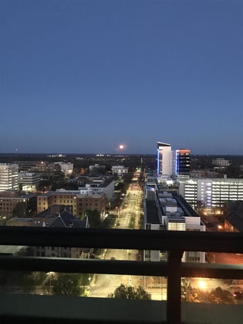 323 W Jones St #1555, Raleigh, NC 27603