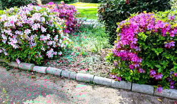 323 Ranch Farm Rd, Raleigh, NC 27603