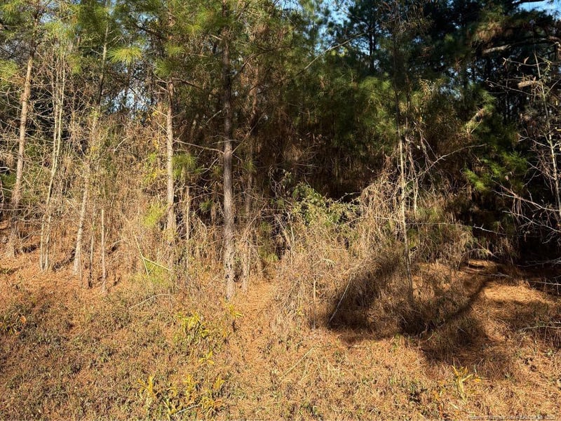 3237 Old Stage Rd, Erwin, NC 28339