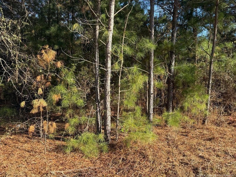 3237 Old Stage Rd, Erwin, NC 28339