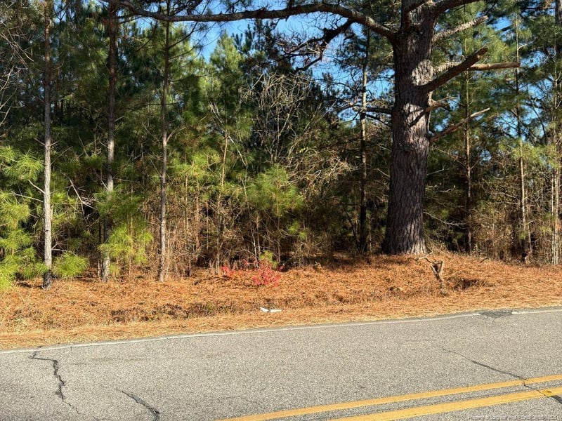 3237 Old Stage Rd, Erwin, NC 28339