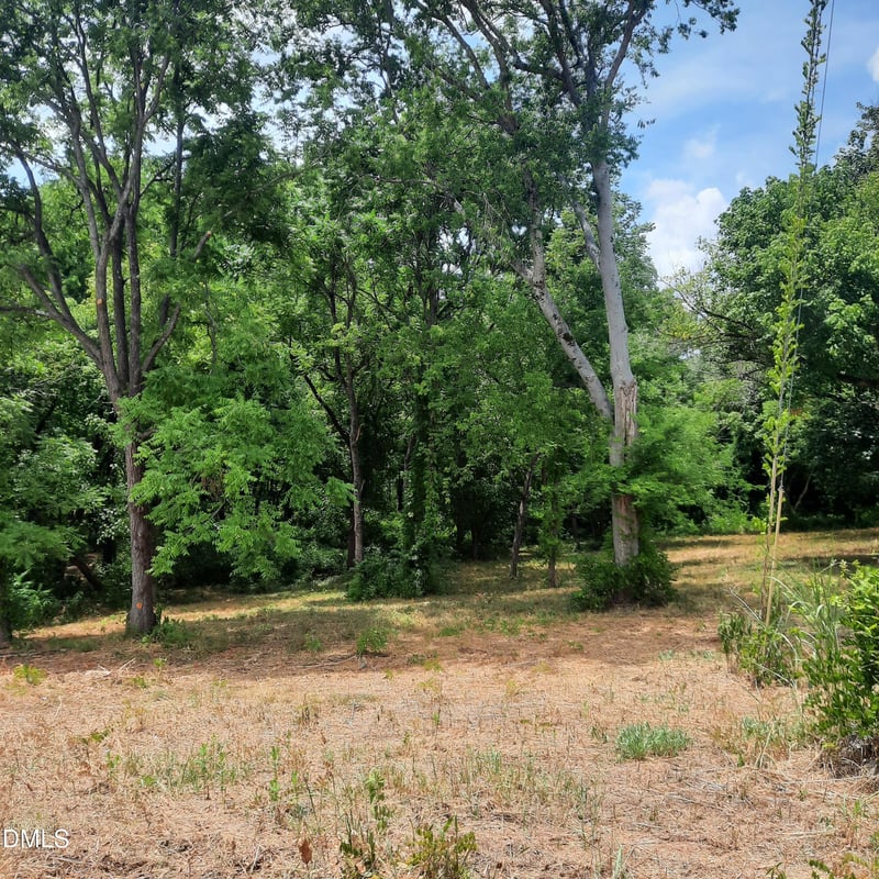 324 Allison St Lot 4R, Hillsborough, NC 27278