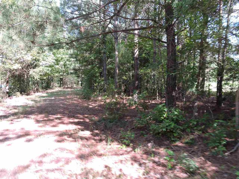 3240 Redwood Rd, Durham, NC 27704
