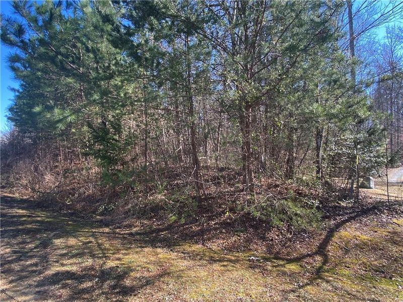 3242 Sundance Dr, Burlington, NC 27217