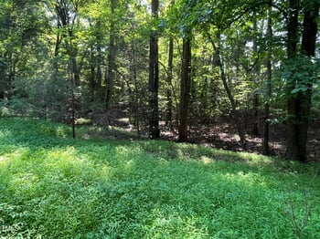 325 Raleigh Farms Rd, Youngsville, NC 27596