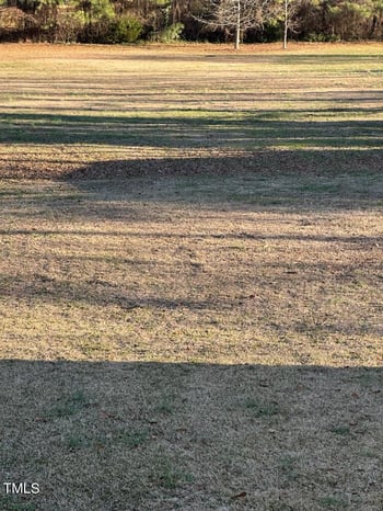 325 Raleigh St, Holly Springs, NC 27540