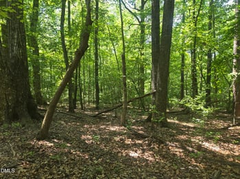 325 Walnut Branch Rd, Chapel Hill, NC 27516
