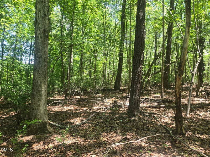 325 Walnut Branch Rd, Chapel Hill, NC 27516