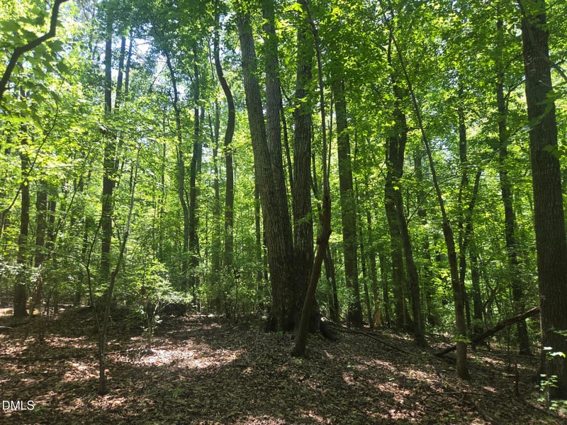 325 Walnut Branch Rd, Chapel Hill, NC 27516