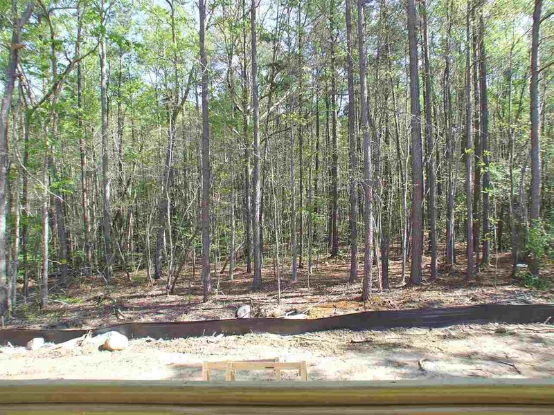 327 Brookhaven Way #33, Pittsboro, NC 27312