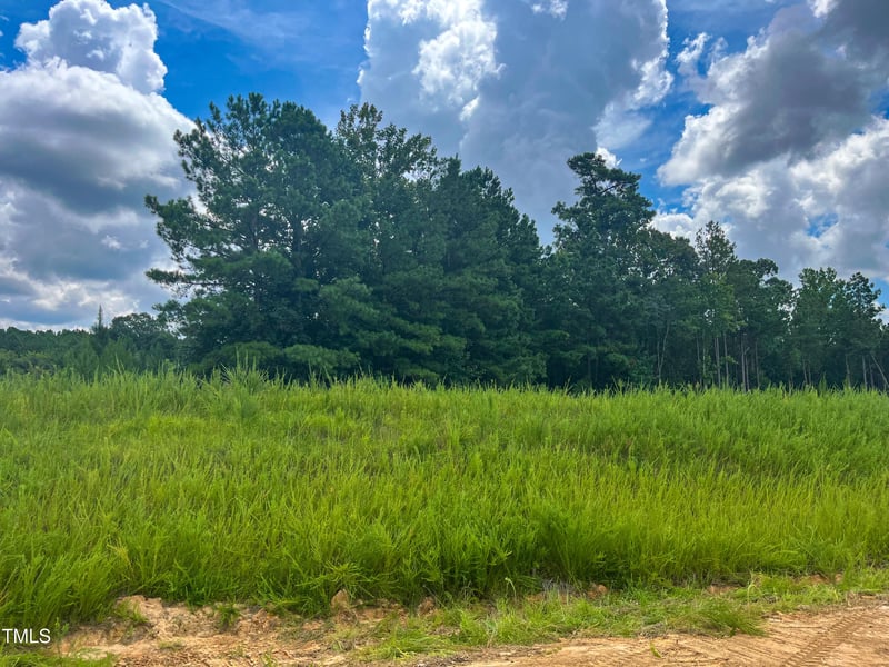 328 Catheys Creek Cir, Wendell, NC 27591