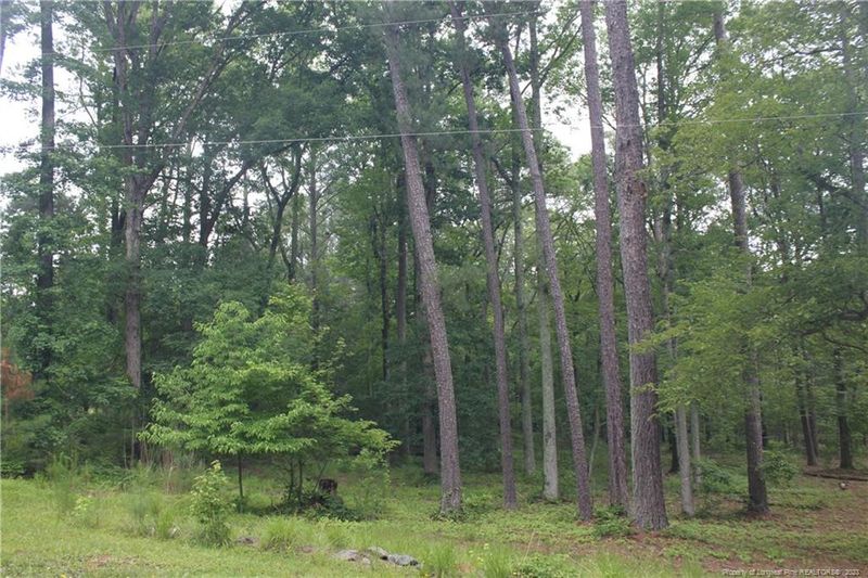 3284 Farrell Rd, Sanford, NC 27330