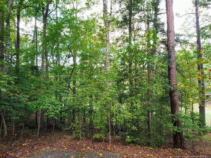 3290 Edinburgh Dr, Sanford, NC 27332