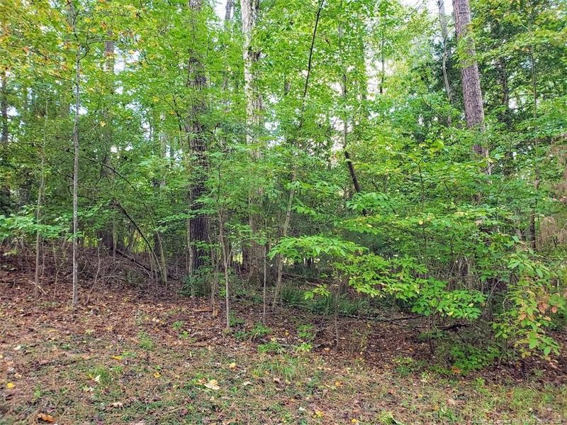 3290 Edinburgh Dr, Sanford, NC 27332